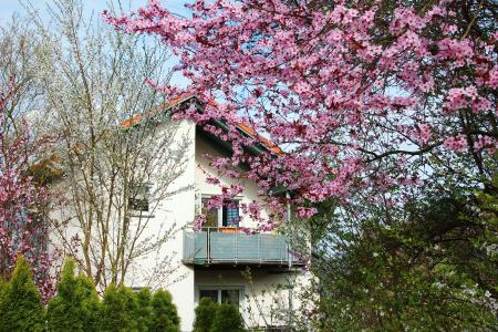 春天，油漆，polisad，树木，颜色，房子，阳台，美丽