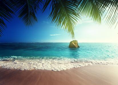 天堂，海，热带，海洋，夏天，海滩，海岸，棕榈