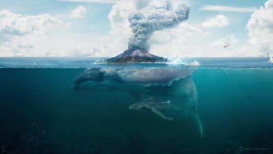 岛，hq壁纸，鲸鱼，艺术，火山