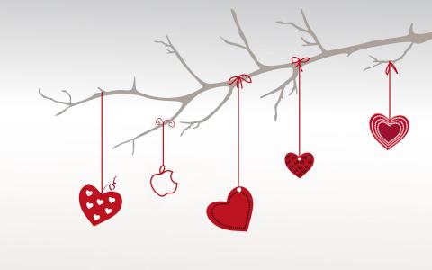 情人节，心，分支，情人节，爱，苹果