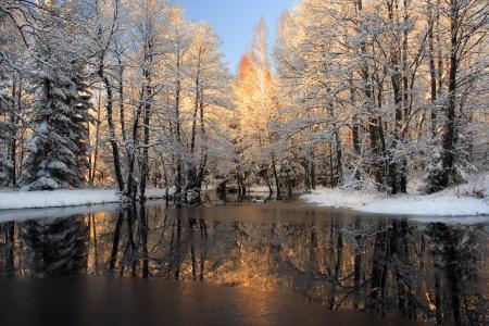 雪，冬天，木头，河