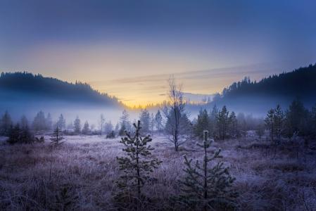 景观，秋季，山，雾，霜，早晨，黎明，挪威