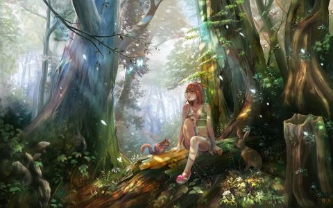 女孩，森林，日志，松鼠，野兔