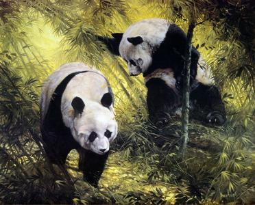 斯宾塞霍奇，熊猫，竹子，森林，情侣，艺术