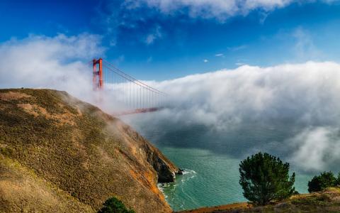 加利福尼亚州，旧金山，桥，金门，云，雾