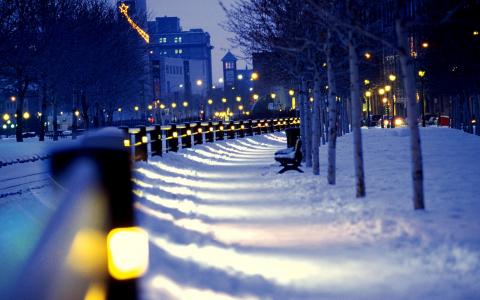 城市，夜晚，街道，冬天，雪，长凳，灯，城市，夜，街，冬季，雪，长凳，灯