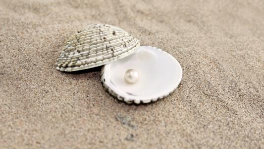 沙子，贝壳，珍珠