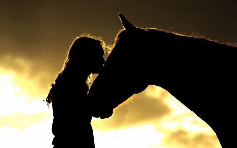 女孩，马，马，动物，亲吻，感情，友谊，背光，剪影