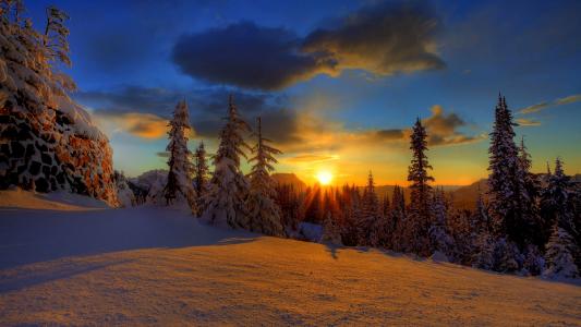 冬天，雪，雪堆，树木，森林，针叶树，冷杉，树，雪，太阳，日落，天空，云