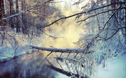 雪，树枝，蒸汽，冬天，湖