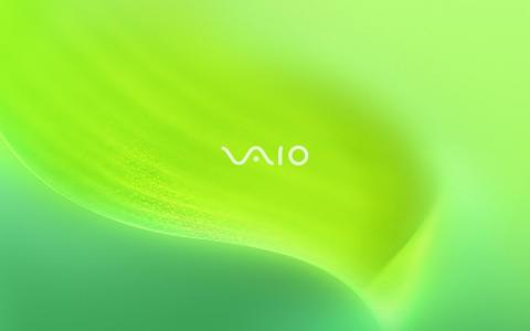 品牌，VAIO，视觉音频智能组织者，商标，绿色，沙拉