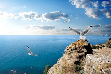 克里米亚，黑海，海鸥，岩石，云