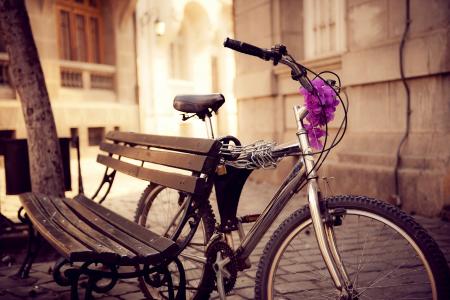 自行车，长凳，街道，链，鲜花，城市