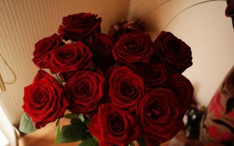 鲜花，红色，红玫瑰，玫瑰