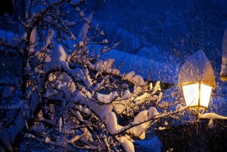 雪，树，冬天，屋顶，灯笼，光，景观