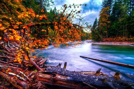 Snoqualmie河，华盛顿，河流，森林，秋天，景观