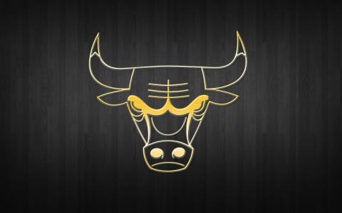NBA，篮球，背景，标志，芝加哥公牛