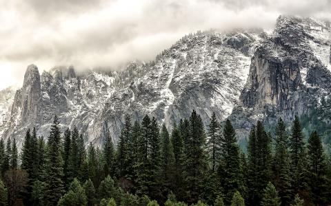 加利福尼亚州优胜美地国家公园，加利福尼亚州优胜美地，树木，山脉