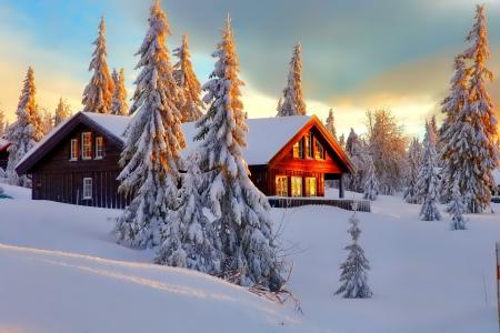 冬天，雪，雪堆，房子，树木，冰雪覆盖，冷杉，树木，针叶树