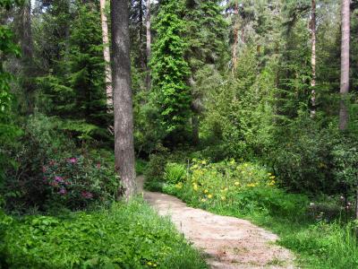 公园，芬兰，植物园，Mustila，路径，树木
