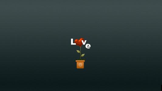 心脏，心脏，鲜花，花卉，爱情，极简主义
