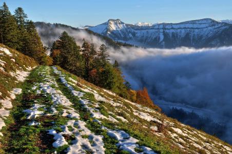 萨尔茨堡，奥地利，山，树，雪，景观