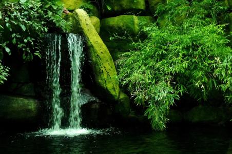 瀑布，石头，灌木丛，自然