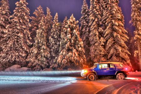冬天，路，树，夜，车，车灯，性质