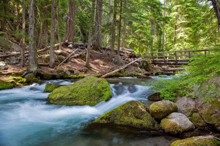 俄勒冈州，美国，河，森林，桥，石头，自然，景观