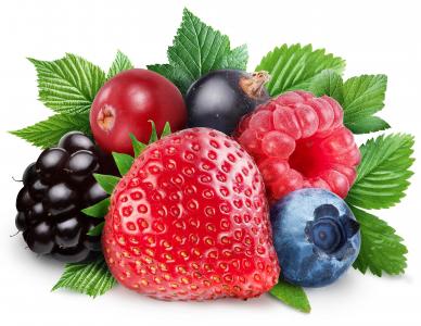浆果，草莓，黑莓，覆盆子，蓝莓，黑醋栗