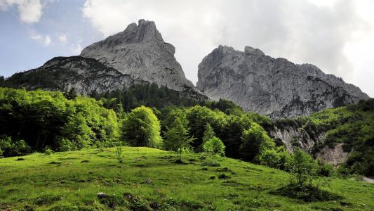 奥地利，山，树，草，性质
