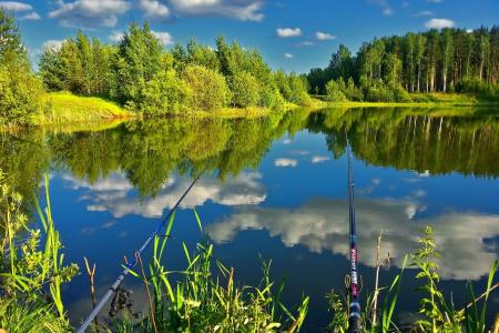 自然，湖，反射，森林，钓鱼竿，钓鱼