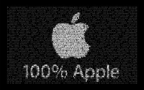 100％，信件，苹果