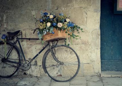 玫瑰，鲜花，篮子，盒子，自行车
