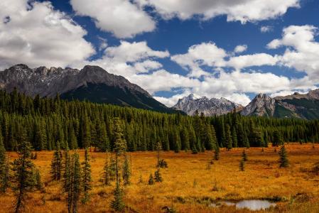 彼得Lougheed省立公园，艾伯塔省，加拿大，山脉，树木，秋天，风景