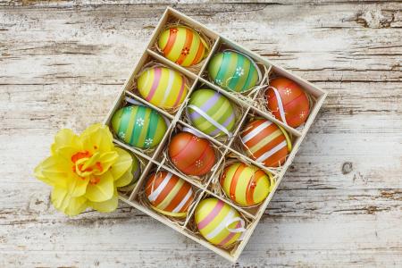 复活节，鸡蛋，krashenki，水仙，花，框