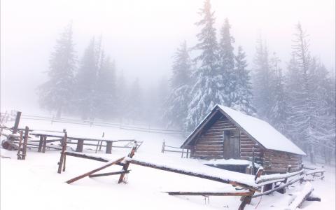 冬季景观，小屋，冷杉，雪，冬季景观，松树，雪