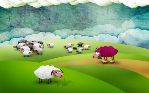 羊，对，牧场，壁纸
