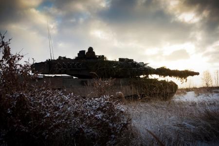 冬天，场，豹2a6，坦克，德国