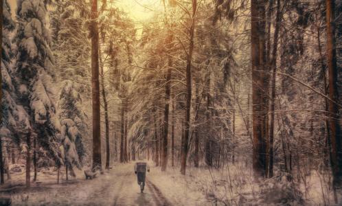 冬季，慢跑，冬季跑步，雪地，森林