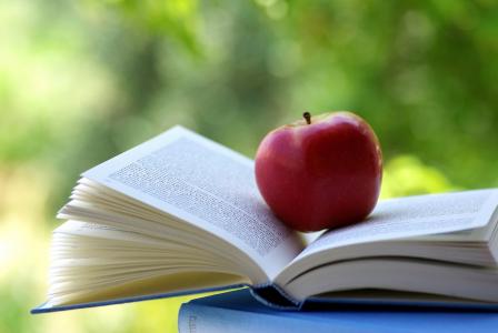 书，对象，水果，阅读，苹果