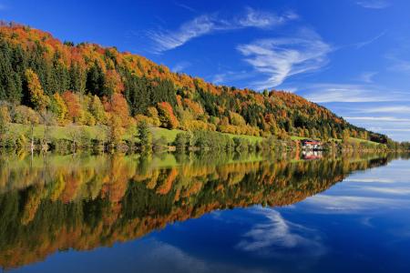 巴伐利亚，德国，湖，反射，秋季，森林