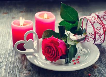 花瓣，蜡烛，鲜花，玫瑰，爱情