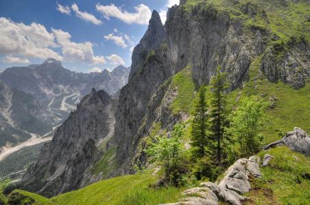 山，岩石，树木，景观，巴伐利亚