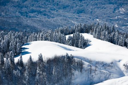 景观，自然，山，森林，雪，冬季，克拉斯诺达尔领土，红色的空地，俄罗斯，索契