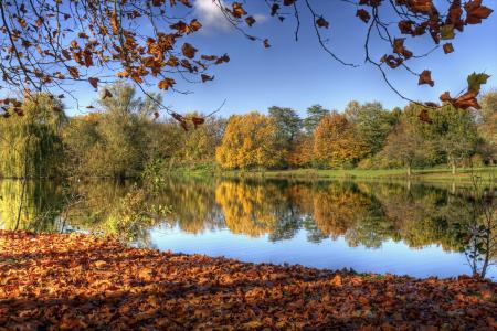 河，荷兰，林堡鲁尔蒙德，大自然，秋天