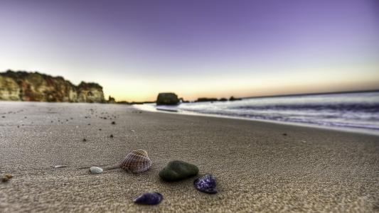 贝壳，海，沙子