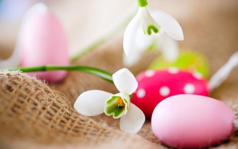 复活节，复活节彩蛋，krashenki，鲜花，雪花莲