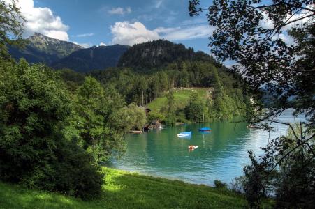 湖，奥地利，沃尔夫冈湖，自然