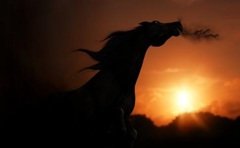 日落，查看，马，渲染，阴影